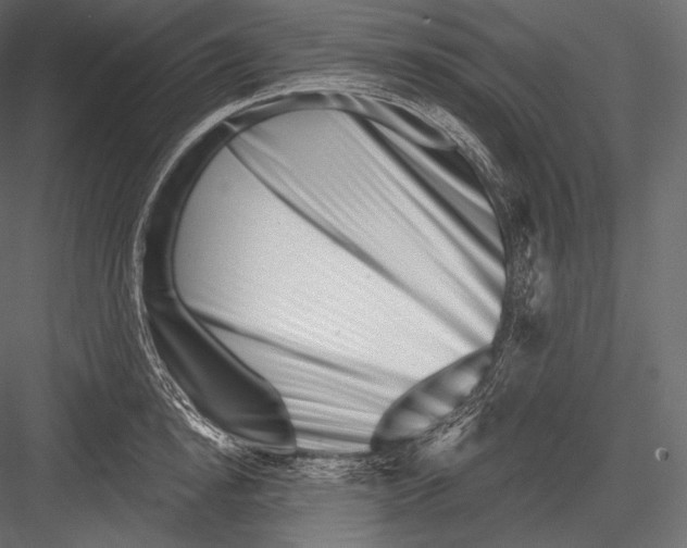 X0000082960854200702222338