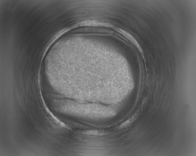 X0000082960855200702222338