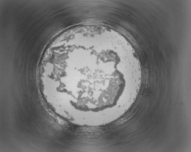 X0000082960856200702222338