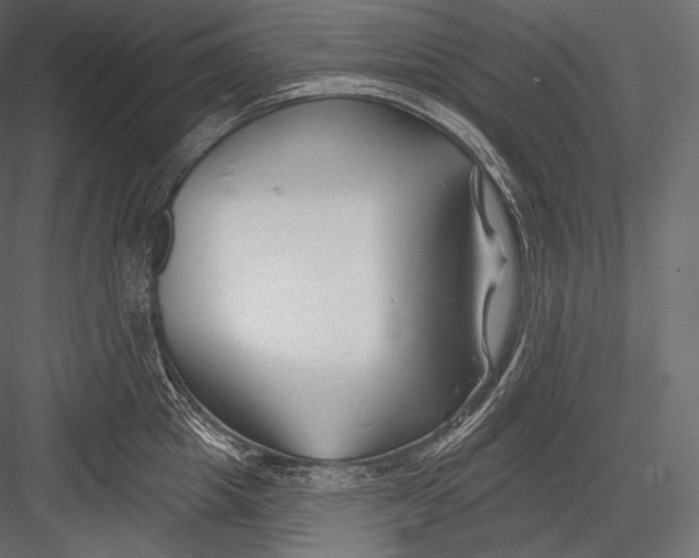 X0000082960857200702222338