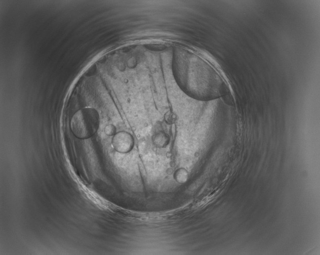 X0000082960859200702222338