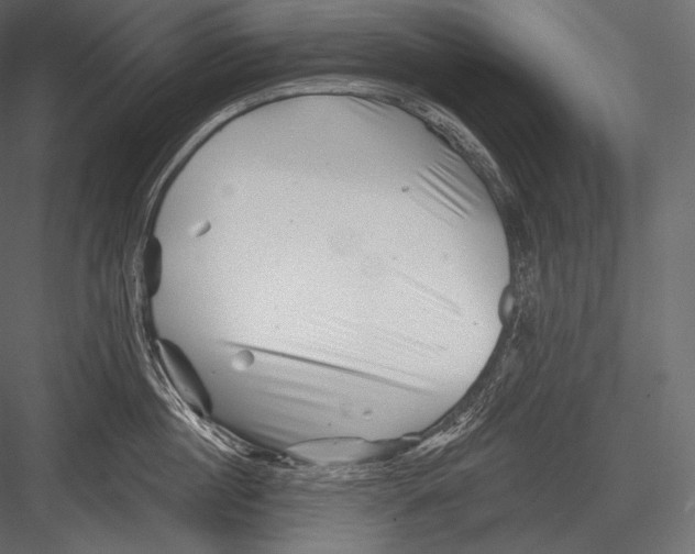 X0000082960860200702222338