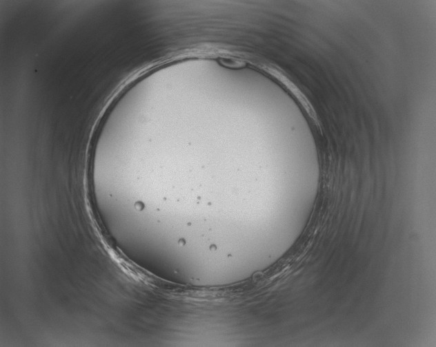 X0000082960861200702222338