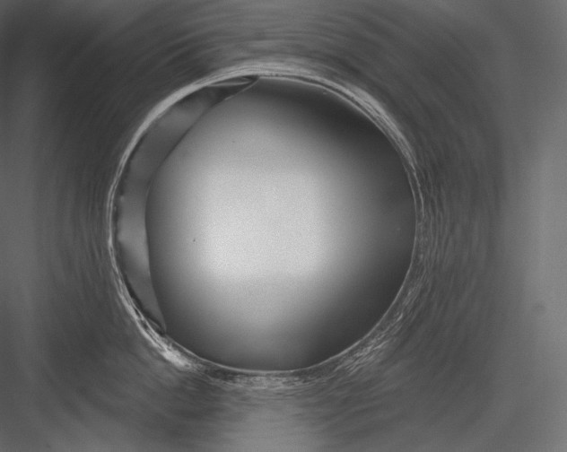 X0000082960862200702222338