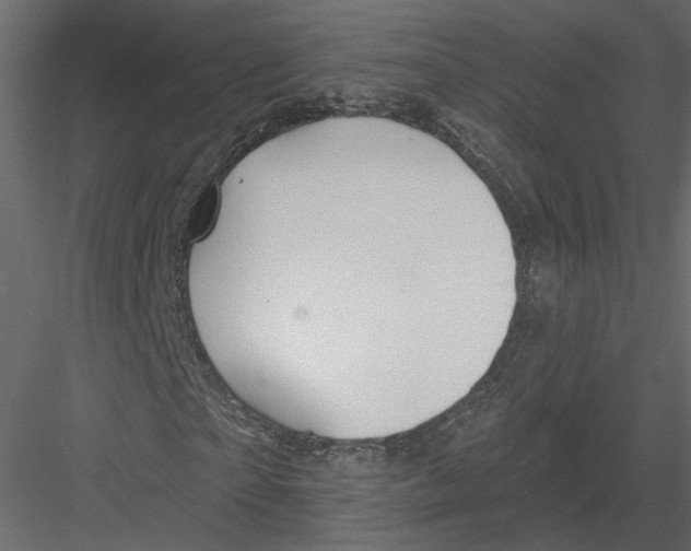 X0000082960865200702222337