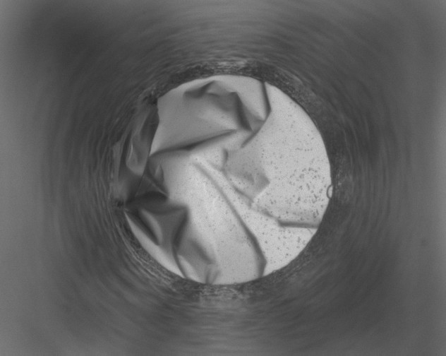 X0000082960866200702222337