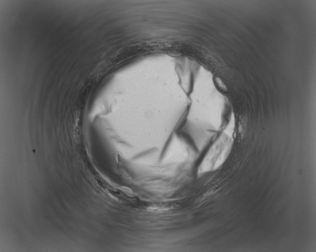 X0000082960867200702222337