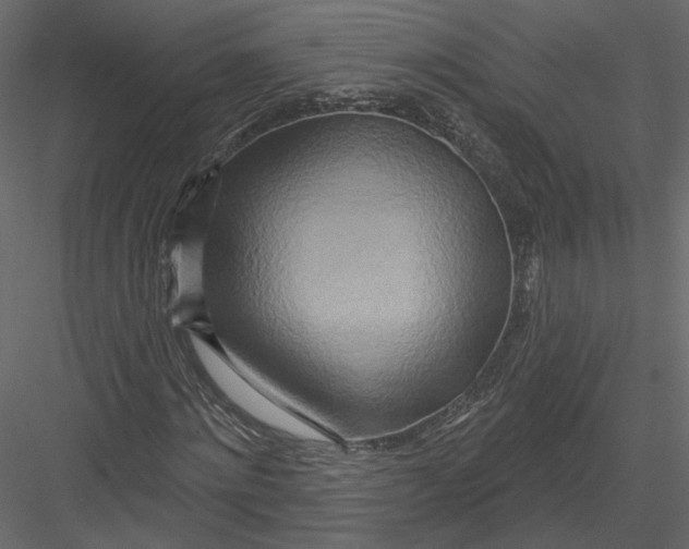 X0000082960868200702222337