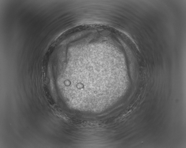 X0000082960871200702222337