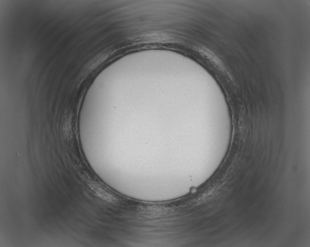 X0000082960873200702222337