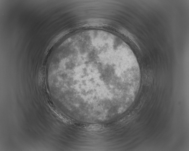 X0000082960874200702222337