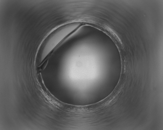 X0000082960876200702222337