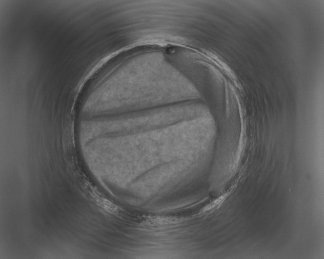 X0000082960877200702222337