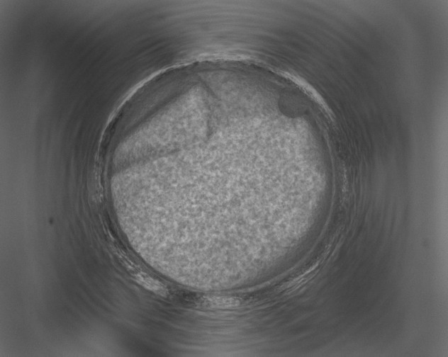 X0000082960878200702222337