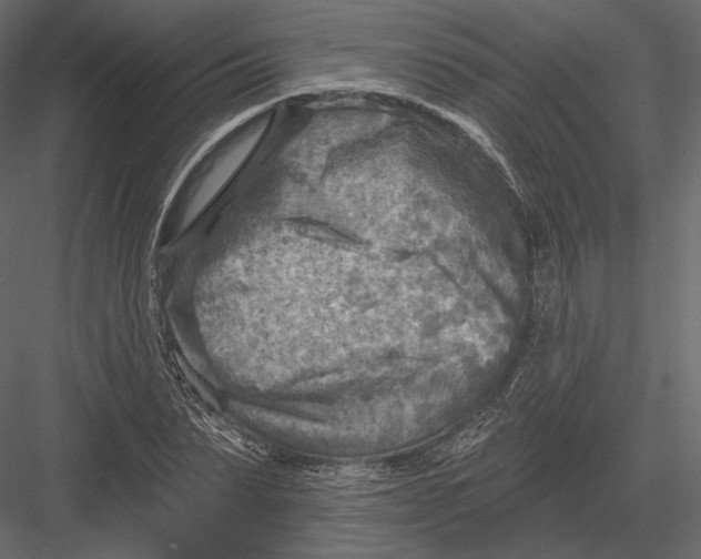 X0000082960879200702222337