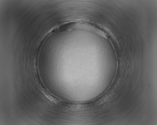 X0000082960881200702222337