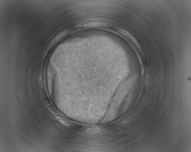 X0000082960882200702222337