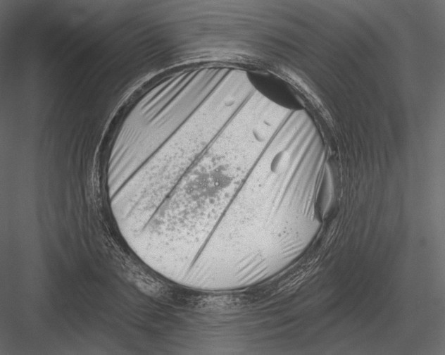 X0000082960883200702222337