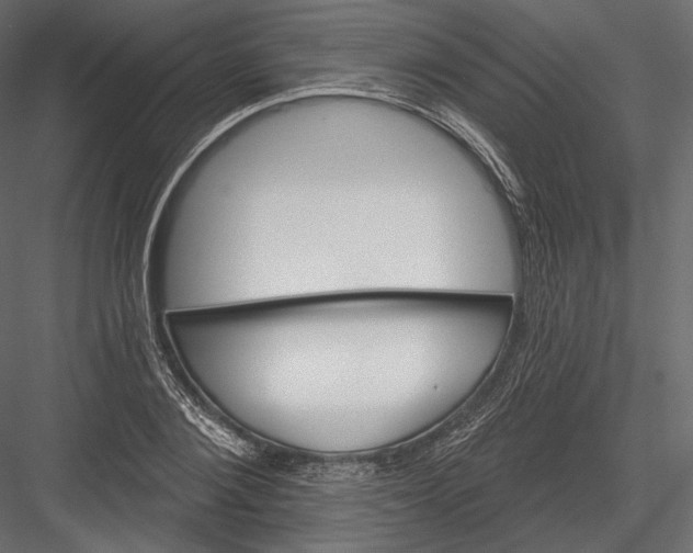 X0000082960884200702222337