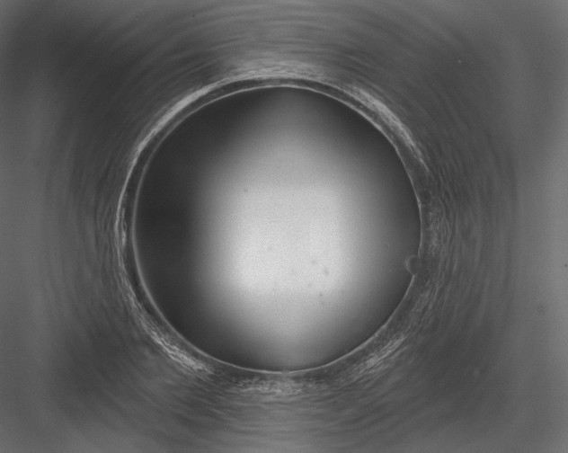 X0000082960885200702222337