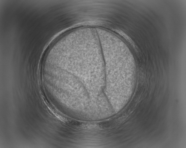 X0000082960886200702222337