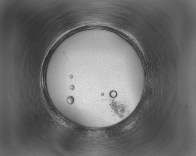 X0000082960887200702222337