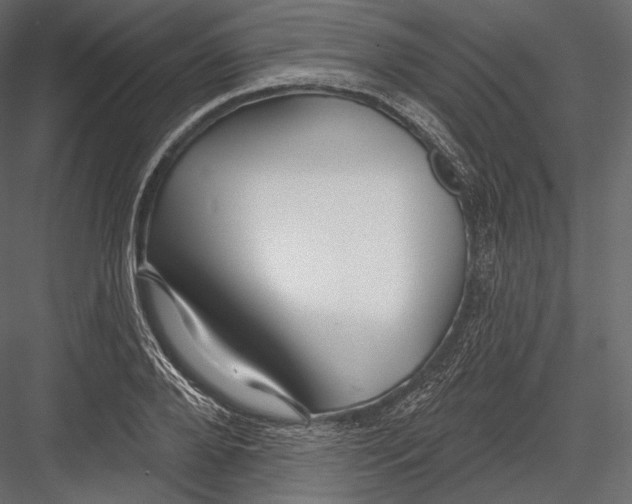 X0000082960888200702222337