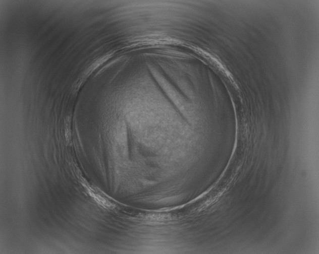 X0000082960889200702222337