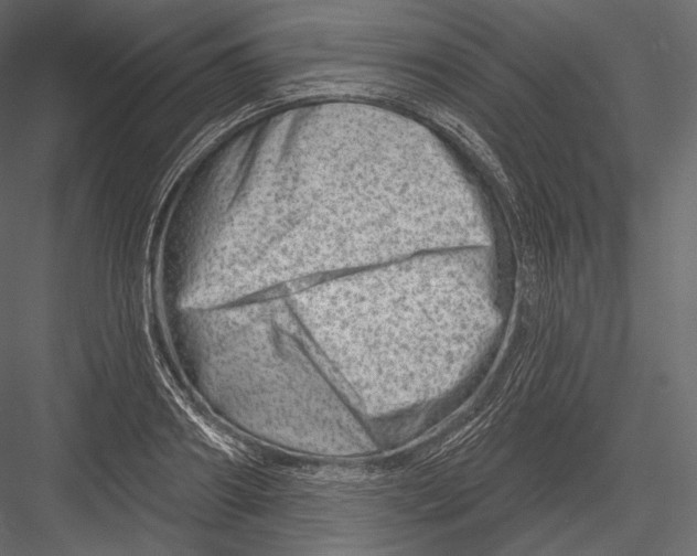 X0000082960890200702222337