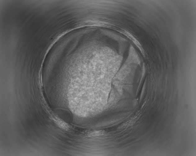 X0000082960891200702222337