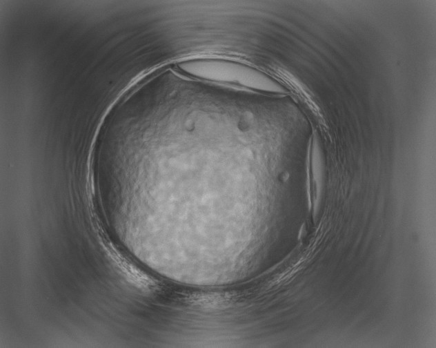 X0000082960892200702222337