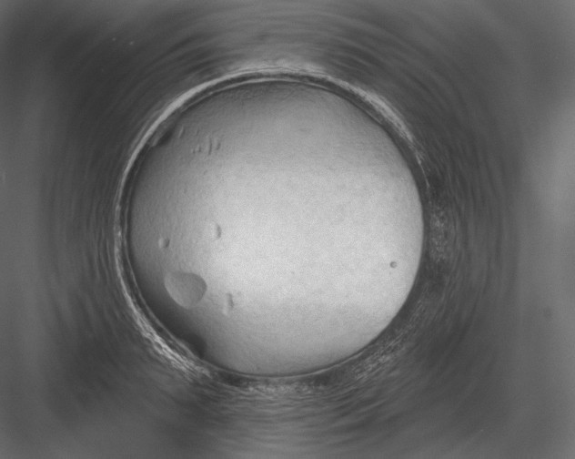 X0000082960895200702222337