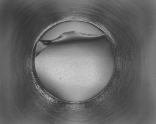 X0000082960896200702222337