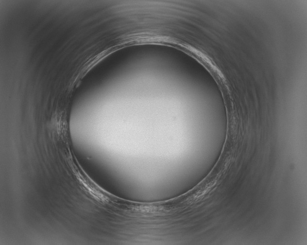 X0000082960897200702222337