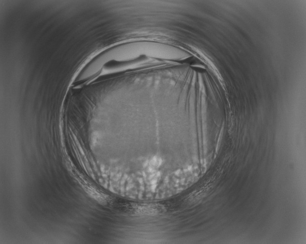 X0000082960899200702222337