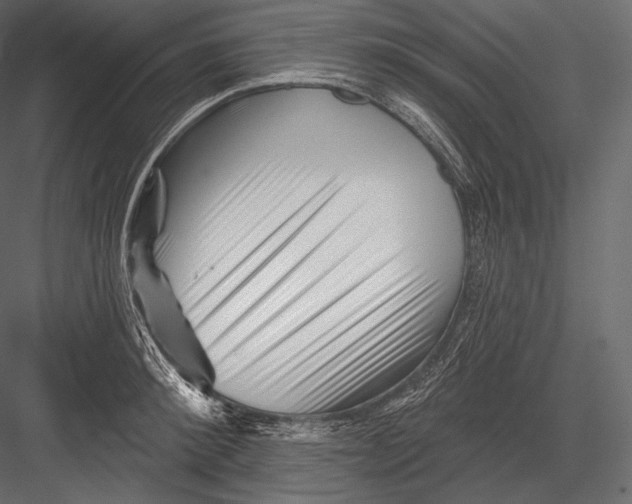 X0000082960900200702222337