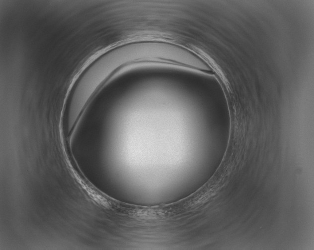 X0000082960901200702222337