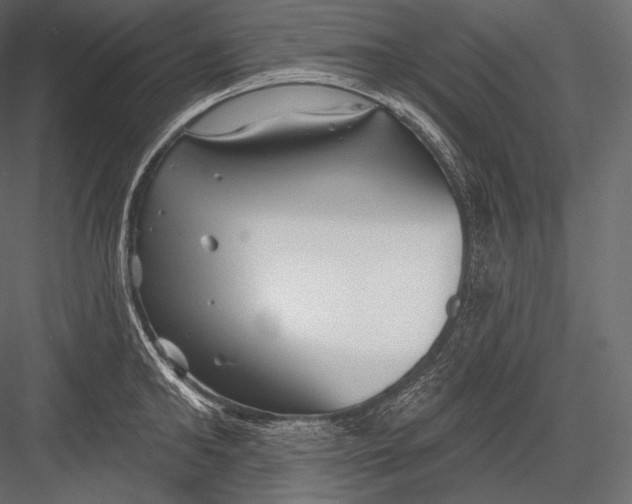 X0000082960902200702222337