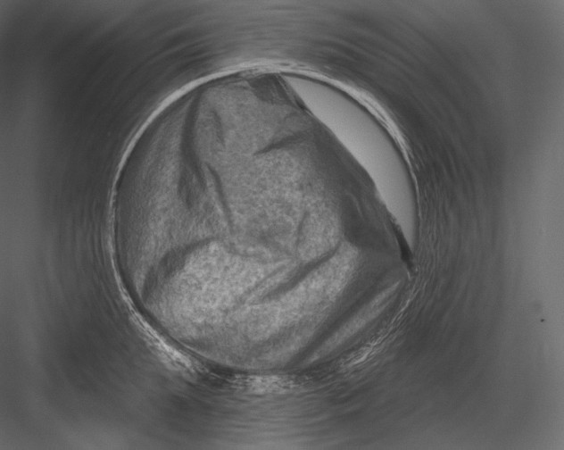 X0000082960903200702222337