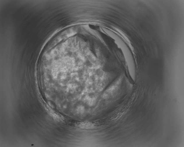 X0000082960907200702222336