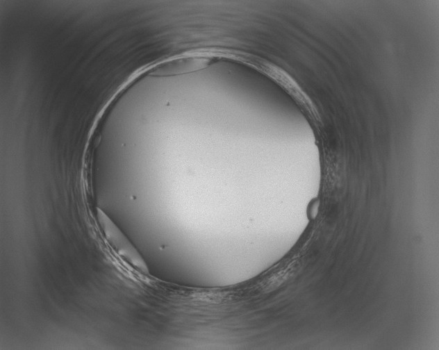 X0000082960908200702222336