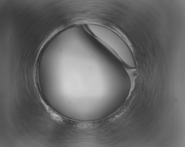 X0000082960909200702222336