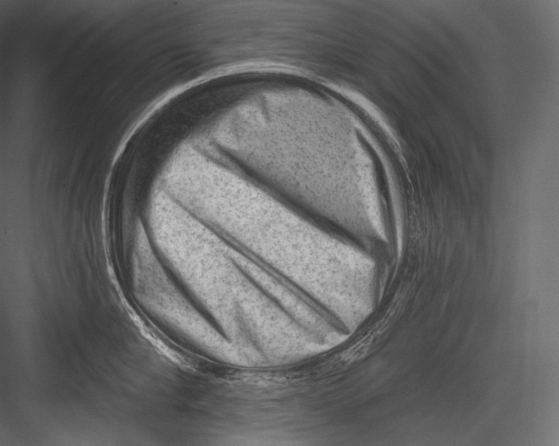 X0000082960910200702222336