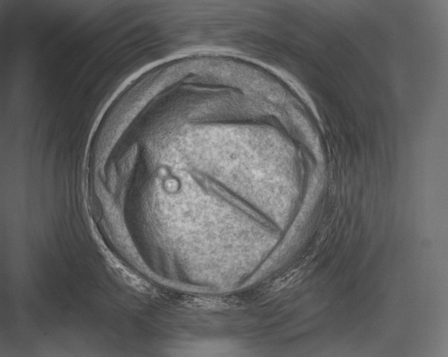 X0000082960911200702222336