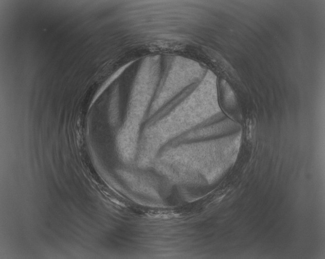 X0000082960915200702222336