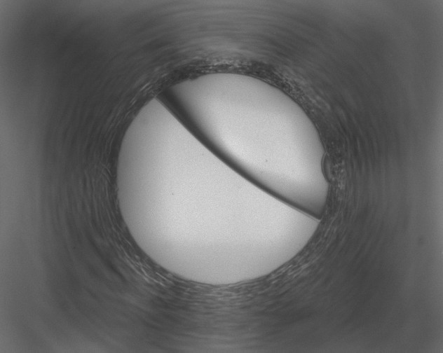 X0000082960916200702222336