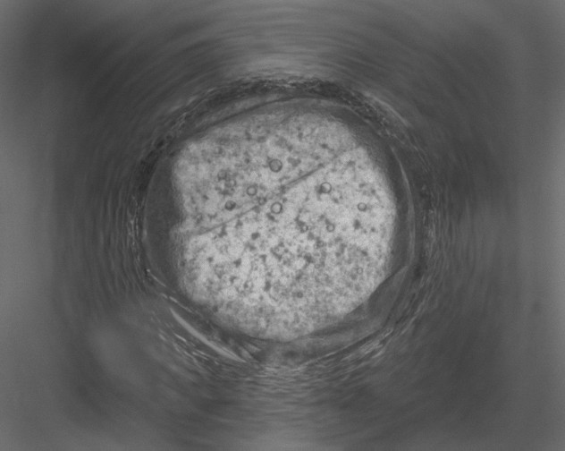 X0000082960917200702222336