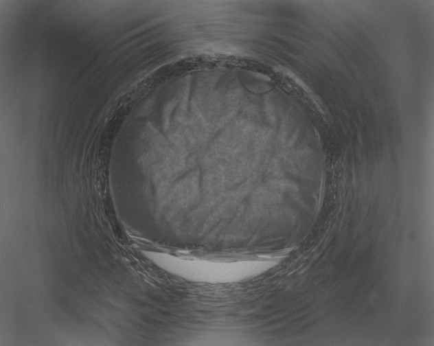 X0000082960919200702222336