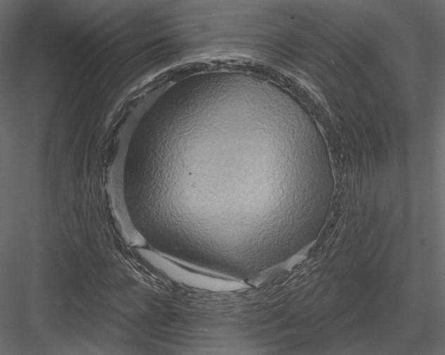 X0000082960920200702222336