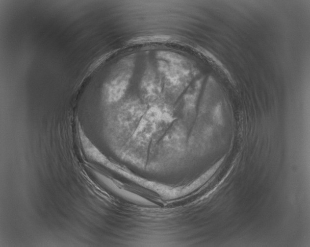 X0000082960921200702222336